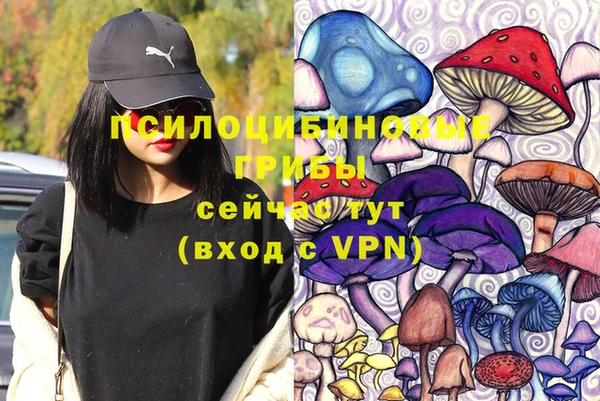 не бодяженный Осташков
