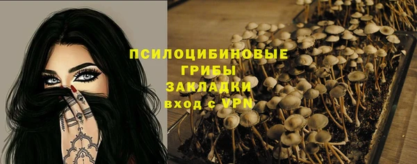 не бодяженный Осташков