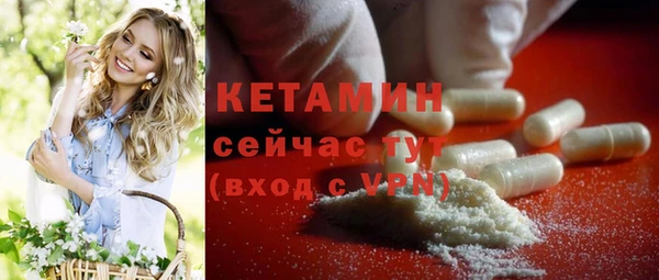 крисы Няндома