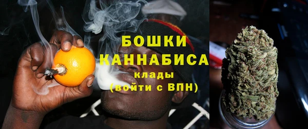 не бодяженный Осташков