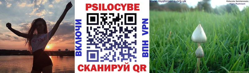 как найти закладки  Кемь  это как зайти  Галлюциногенные грибы MAGIC MUSHROOMS 